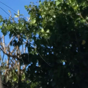 Meet your Posher, Jessie